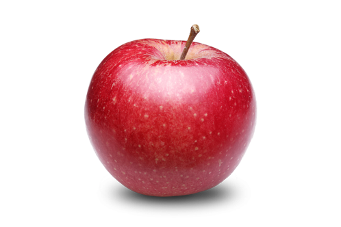 https://software.leadsmarket.info/images/product/202401151144271.png